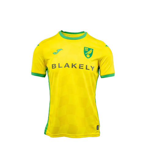 Norwich Football Club home jersey 24/25 [yellow]