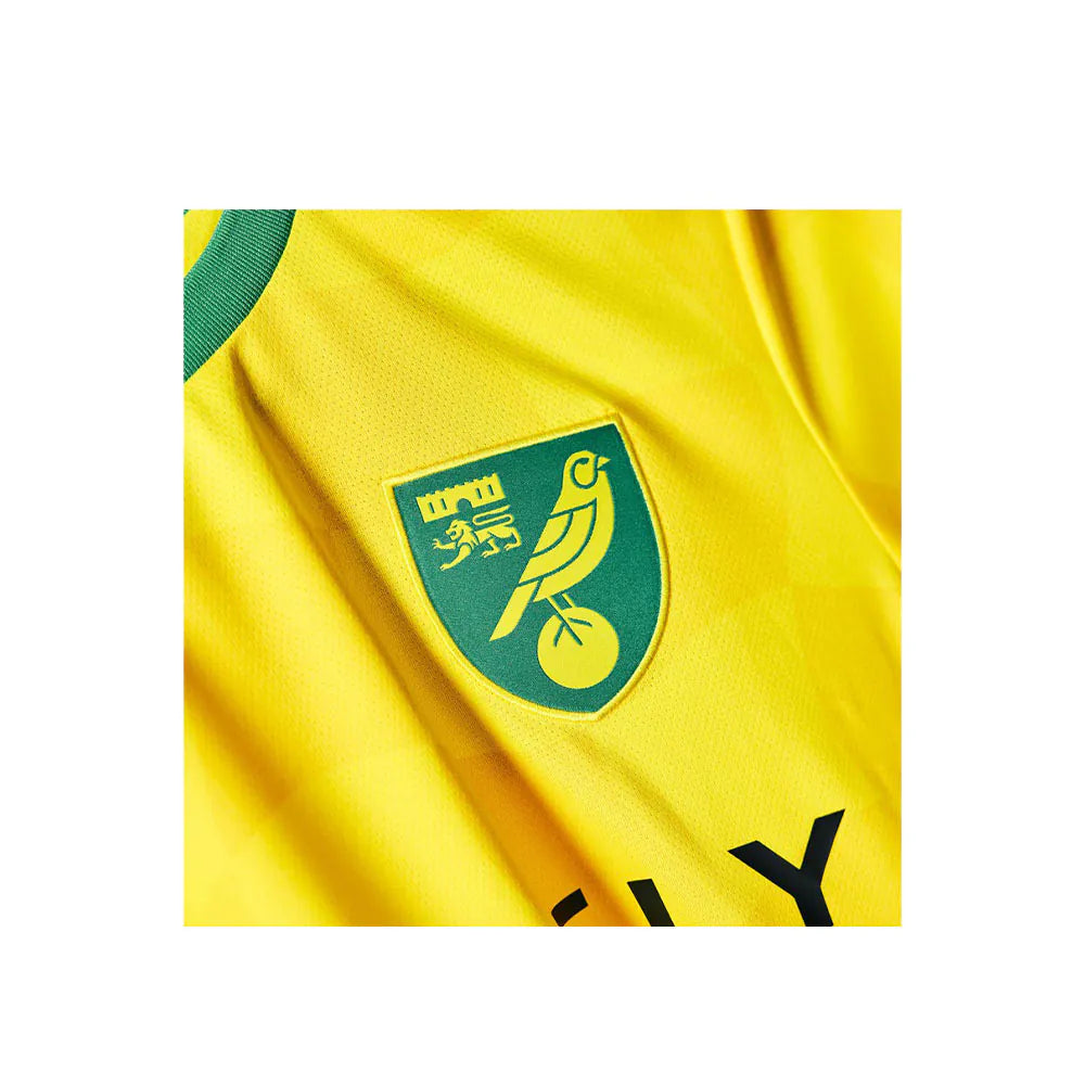 Norwich Football Club home jersey 24/25 [yellow]